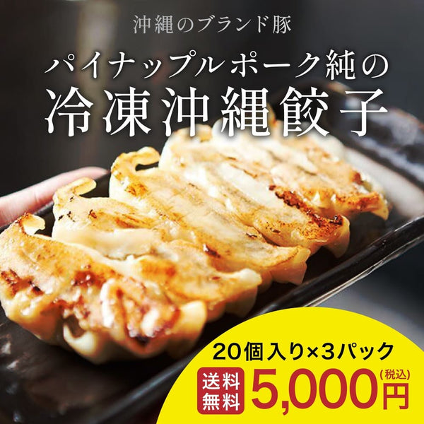 【沖縄県産ブランド豚 パイナップルポーク純の冷凍餃子】60個セット