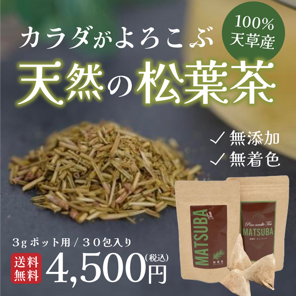 【熊本 天草産100％ 無添加 無着色】松葉茶ティーバッグ 30包セット